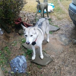 Meet your Posher, Dearl